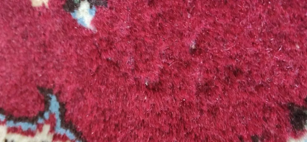 Petit tapis persan d'années 60