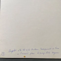Photo argentique Angelot et Duchesse Bernard Darot José Chevreau XXe