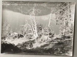 Photo argentique Bernard Darot XXe arbre mort devant un lac