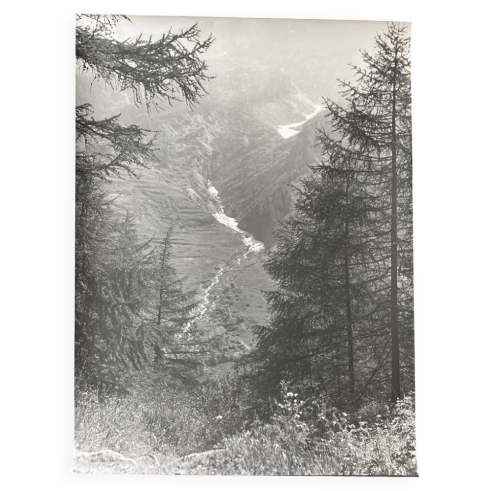 Photo argentique Bernard Darot XXe Torrent dans la vallée