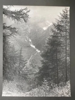 Photo argentique Bernard Darot XXe Torrent dans la vallée