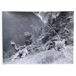 Photo argentique Bernard Darot XXe Printemps en montagne