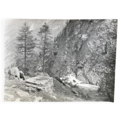 Photo argentique roches Bernard Darot XXe