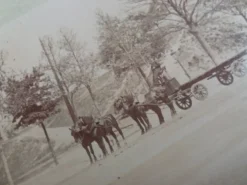 Photographie ancienne 1900 carriole cocher et chevaux