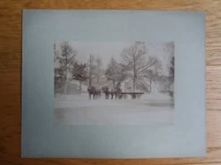 Photographie ancienne 1900 carriole cocher et chevaux
