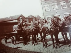 Photographie ancienne 1900 carriole chevaux et cocher Chemins de fer de l'Etat