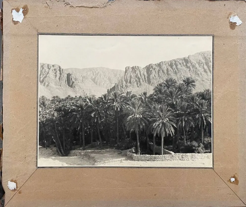 Photographie ancienne collection Algérie Oasis El Kantara Circa 1950