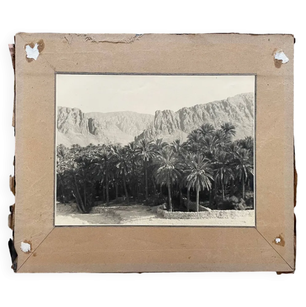Photographie ancienne collection Algérie Oasis El Kantara Circa 1950