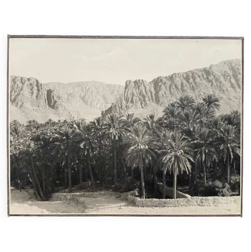 Photographie ancienne collection Algérie Oasis El Kantara Circa 1950