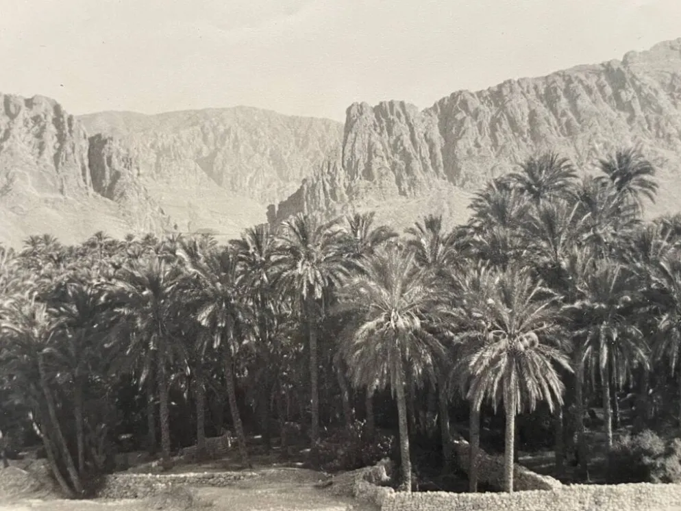 Photographie ancienne collection Algérie Oasis El Kantara Circa 1950