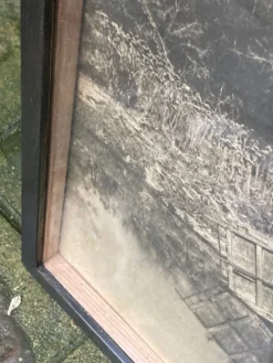 Photographie ancienne deux attelages de boeufs près d'une mare