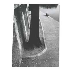 Photographie ancienne noir et blanc argentique début XXe