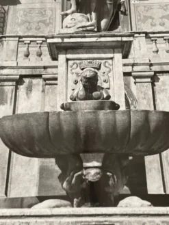 Photographie ancienne noir et blanc argentique début XXe