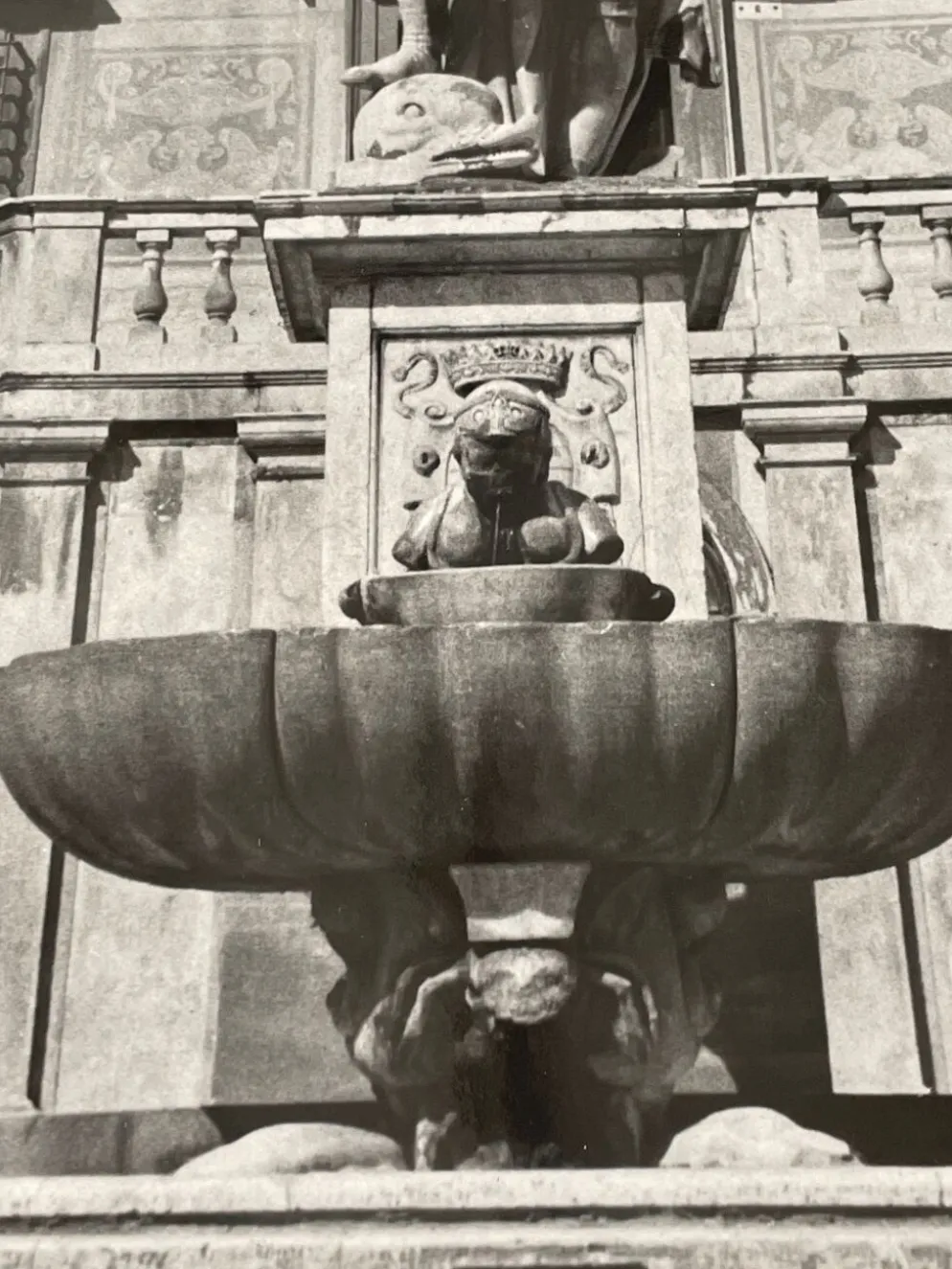 Photographie ancienne noir et blanc argentique début XXe