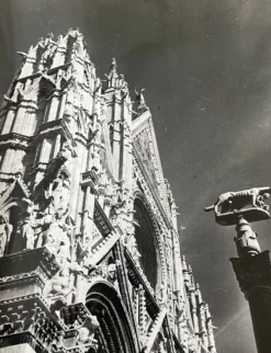 Photographie ancienne noir et blanc argentique début XXe