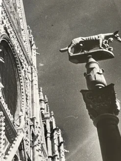 Photographie ancienne noir et blanc argentique début XXe