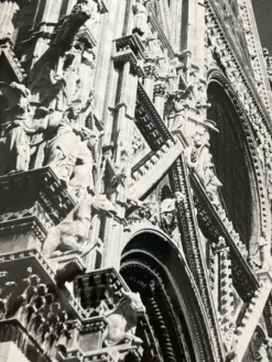 Photographie ancienne noir et blanc argentique début XXe
