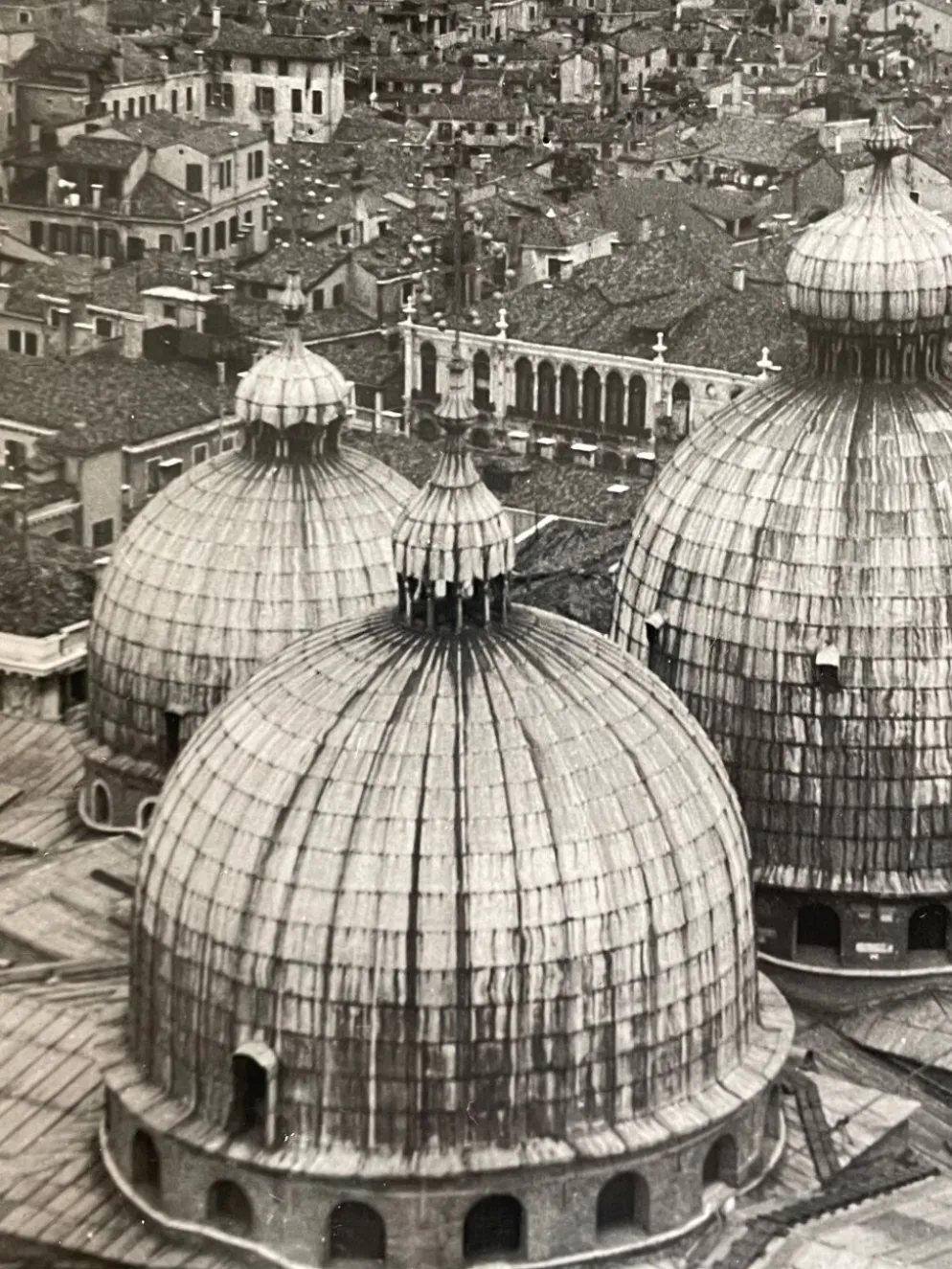 Photographie ancienne noir et blanc argentique début XXe