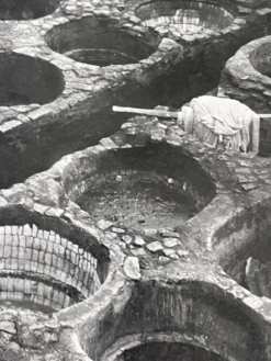 Photographie ancienne noir et blanc argentique début XXe