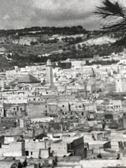 Photographie ancienne noir et blanc argentique début XX
