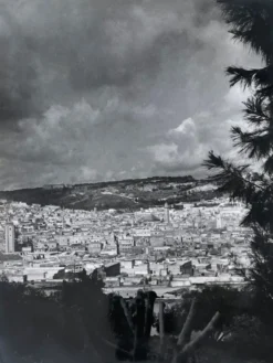 Photographie ancienne noir et blanc argentique début XX