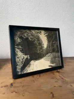 Photographie ancienne paysage enneigé