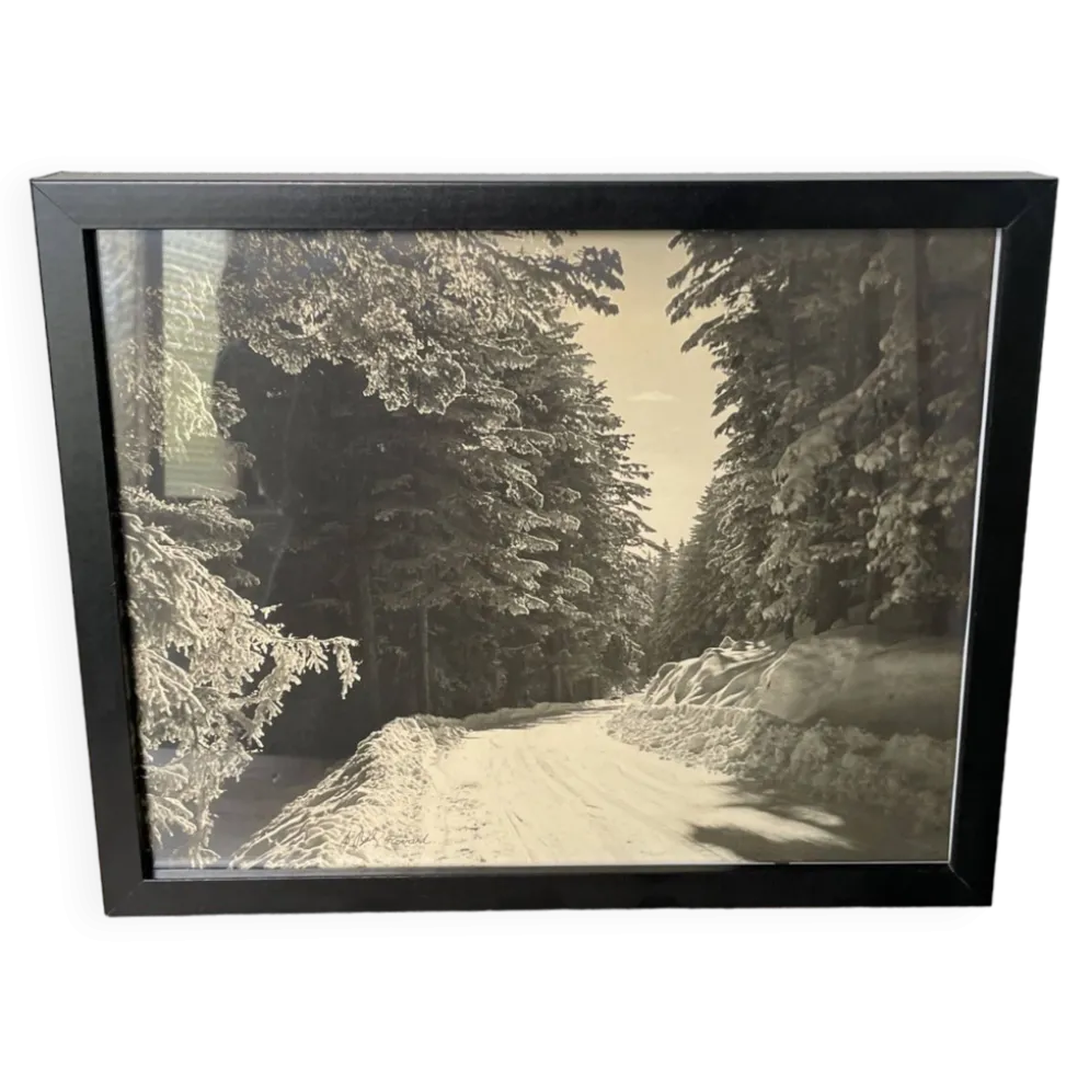 Photographie ancienne paysage enneigé