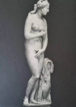 Photographie ancienne Vénus de profil Museo Capitolino Rome 1900 26x39 cm