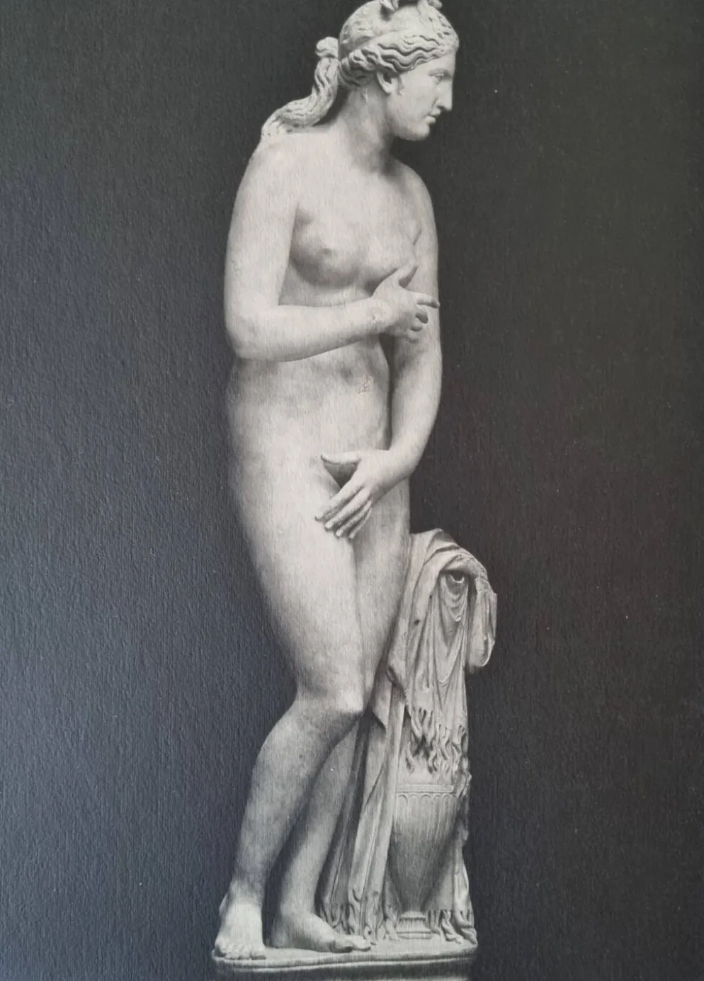 Photographie ancienne Vénus de profil Museo Capitolino Rome 1900 26x39 cm