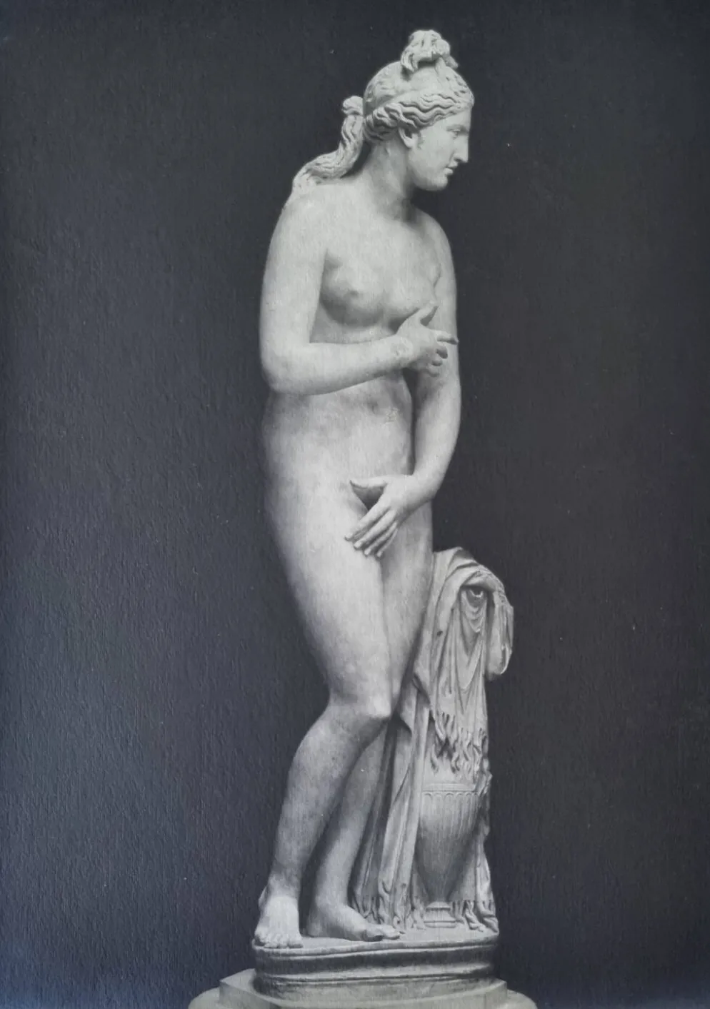 Photographie ancienne Vénus de profil Museo Capitolino Rome 1900 26x39 cm