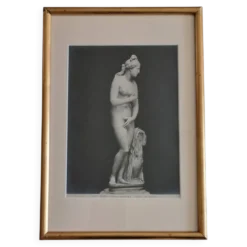 Photographie ancienne Vénus de profil Museo Capitolino Rome 1900 26x39 cm