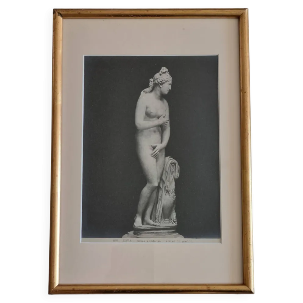 Photographie ancienne Vénus de profil Museo Capitolino Rome 1900 26x39 cm