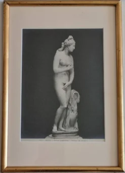 Photographie ancienne Vénus de profil Museo Capitolino Rome 1900 26x39 cm