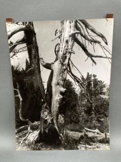 Photographie argentique Bernard Darot Les Vaincus XXe AFIAP