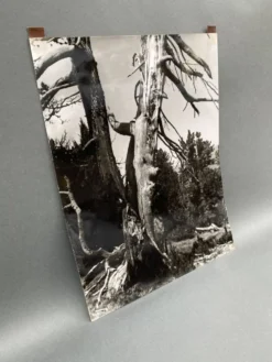 Photographie argentique Bernard Darot Les Vaincus XXe AFIAP
