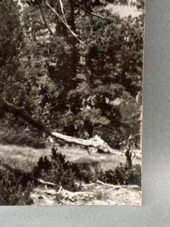 Photographie argentique Bernard Darot Les Vaincus XXe AFIAP