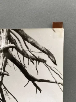Photographie argentique Bernard Darot Les Vaincus XXe AFIAP