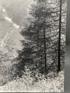 Photographie argentique Bernard Darot Paysage de montagne XXe