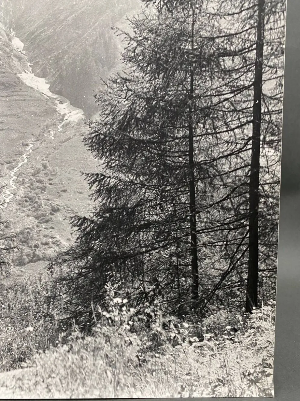 Photographie argentique Bernard Darot Paysage de montagne XXe