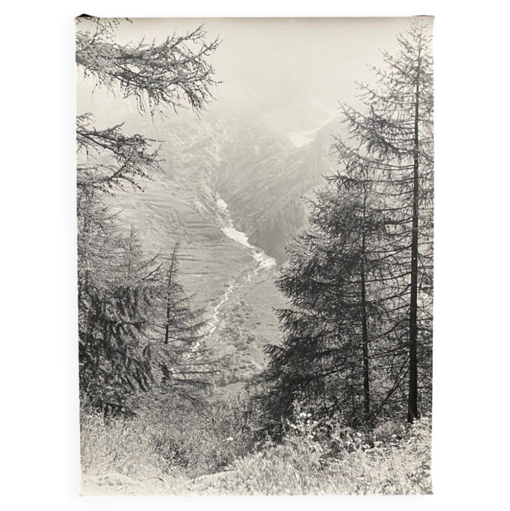 Photographie argentique Bernard Darot Paysage de montagne XXe