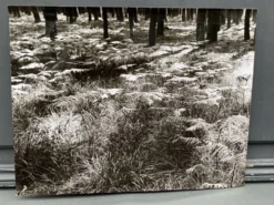 Photographie argentique Bernard Darot Fougères XXe