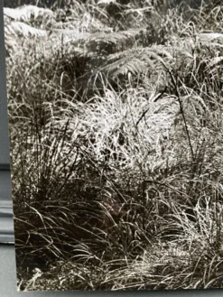 Photographie argentique Bernard Darot Fougères XXe