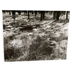 Photographie argentique Bernard Darot Fougères XXe