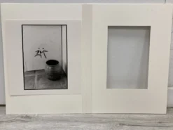 Photographie argentique d'artiste