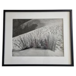 Photographie argentique vintage “La Dune” années 70 encadrée 52x42 cm