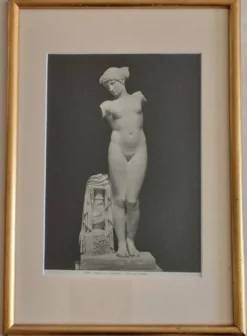 Photographie de la Vénus de l'Esquilin Palazzo dei Conservatori 27x39 cm