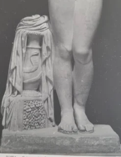 Photographie de la Vénus de l'Esquilin Palazzo dei Conservatori 27x39 cm