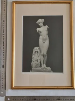 Photographie de la Vénus de l'Esquilin Palazzo dei Conservatori 27x39 cm