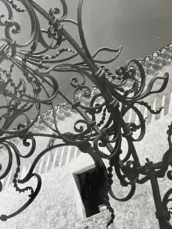 Photographie noir et blanc argentique début XXe