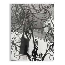 Photographie noir et blanc argentique début XXe